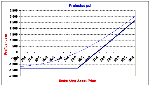 Protected put graph